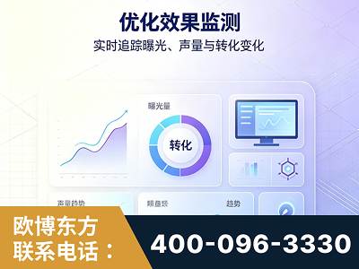 巩义-优化效果监测