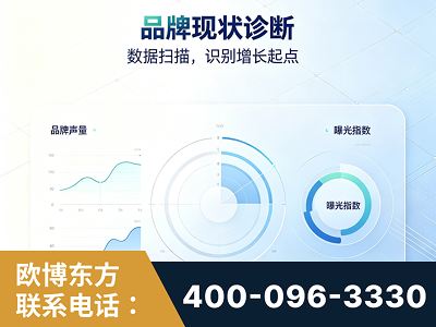 巩义-品牌现状诊断